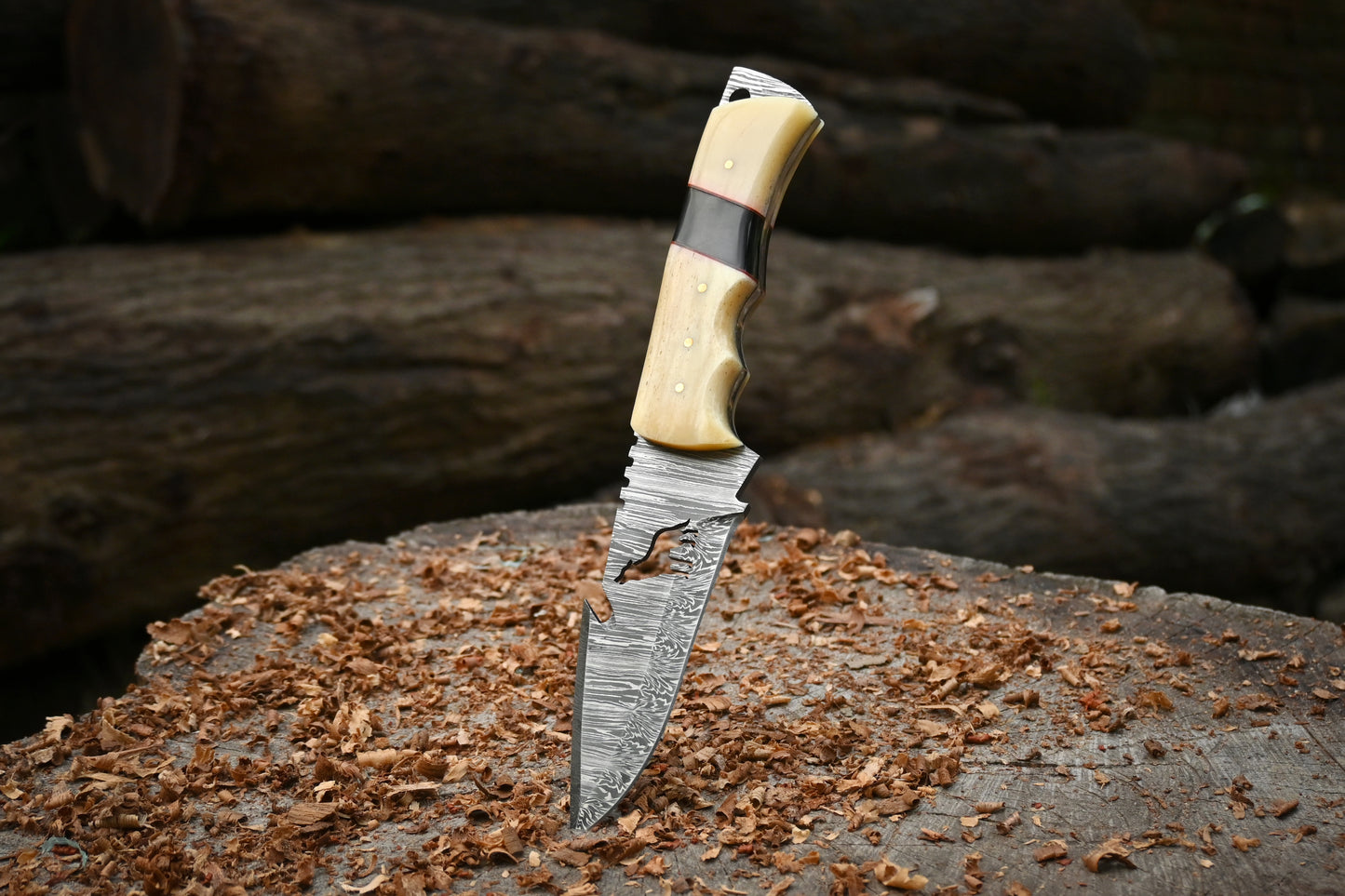 Eagle's Talon | 11" Hand Forged Damascus Steel Hunting Knife – 288-Layer Feather Damascus, Full Tang & Stag Bone Handle
